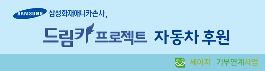 삼성화재애니카손사 드림카 프로젝트 자동차 후원